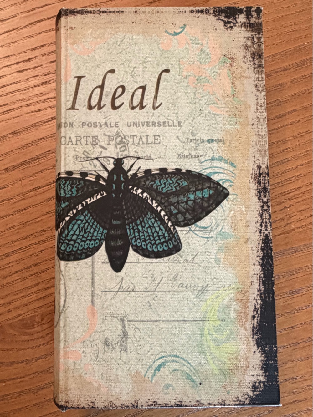 Ideal Decorative Storage Box that looks like a Book- Blue & Black Insect Cover